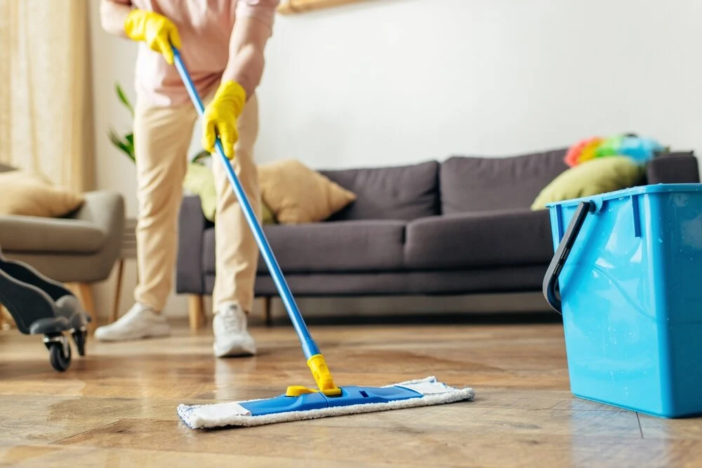 Regular House Cleaning