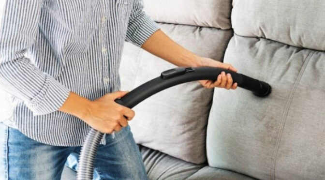 Best Services for Couch Cleaning in Truganina